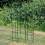 Selections Set of 2 Metal Garden Obelisks 2