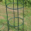 Selections Set of 2 Metal Garden Obelisks 7