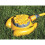 Hozelock Hozelock 2515 0000 Multi Sprinkler 79m² 2
