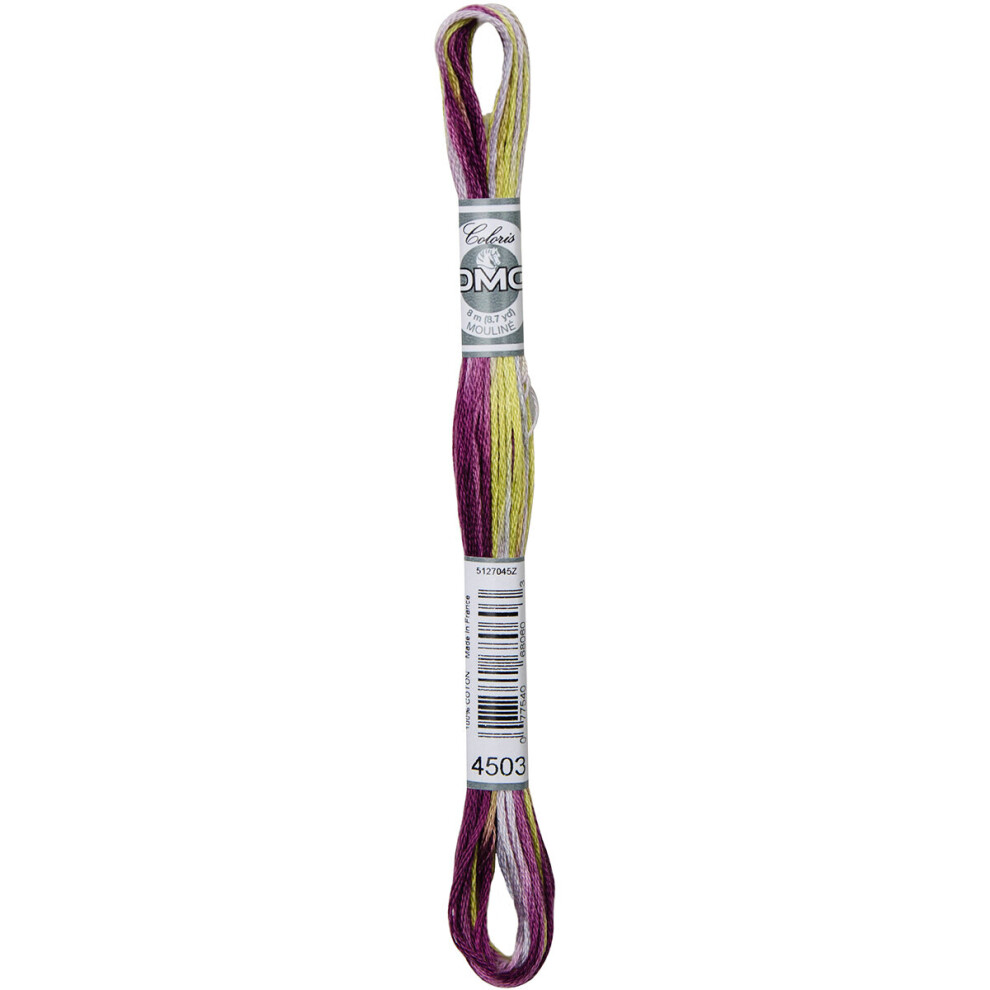 DMC Coloris 6-Strand Embroidery Cotton Floss 8.7yd-Wisteria -517-4503