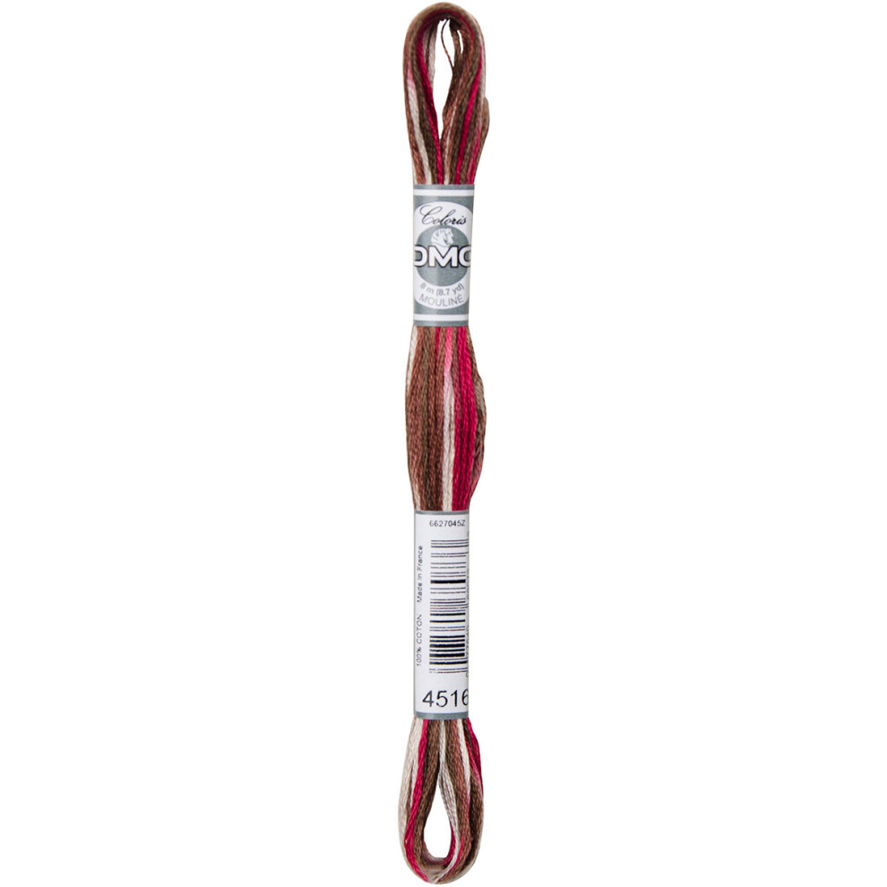 DMC Coloris 6-Strand Embroidery Cotton Floss 8.7yd-Black Forest -517-4516