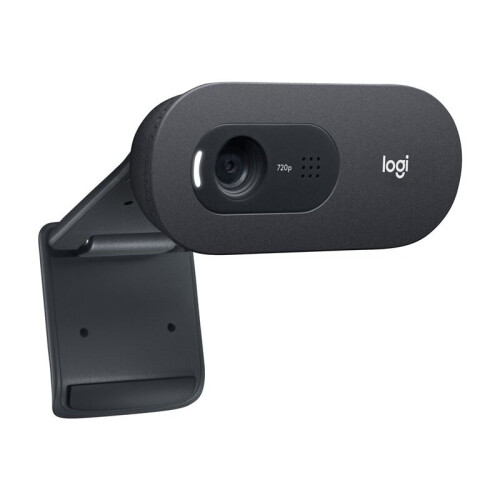 Logitech Logitech C505e webcam 960-001372