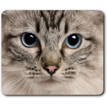 Pretty Ragdoll Cat Blue Eyes Mouse Mat Pad Computer PC Laptop Gaming Office Home Desk Accessory Gadget 3596
