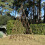 Selections Set of Three Expanding Willow Garden Obelisks (1.5m) 3