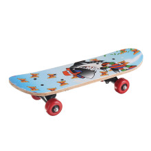 (E) 17inch 7-layer Children Skateboard Chinese Maple Decoration Boards Light Wooden Double Rocker Skatebooards