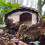 Selections Wooden Hedgehog House Hogitat With Bark Roof 5