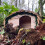 Selections Wooden Hedgehog House Hogitat With Bark Roof 6