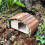 Selections Wooden Hedgehog House Hogitat With Bark Roof 7