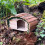 Selections Wooden Hedgehog House Hogitat With Bark Roof 4