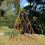 Selections Set of 3 Expanding Willow Garden Obelisks (1.2m) 4