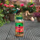 Miracle-Gro Miracle-Gro Rose Shrub Plant Food Continuous Release Granule Feed 900g 4