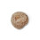 Organic Face Scrub Propolis 50ml 3