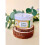 100% Natural Pre Swim Aqua Balm100ml 3