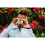 Polaroid Polaroid - 9035 - Polaroid Go Instant Camera - White 2
