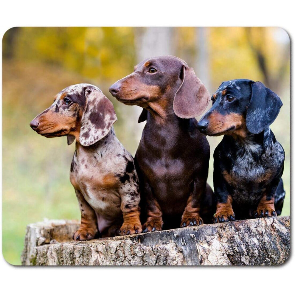 Rectangle Mouse Mat - Dachshund Trio Dogs Puppies 23.5 X 19.6 Cm (9.3 X 7.7 Inches) For Computer & Laptop, Office, Non-Slip... 7626027729194