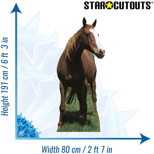Mustang Horse Lifesize Cardboard Cutout / Standee 2
