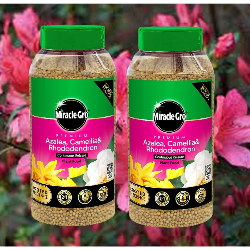 2 MiracleGro Azalea Plant Feed Camellia Rhododendron Plant Food 900g