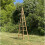 Selections Wooden Garden Obelisk (1.9m) 4