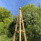 Selections Wooden Garden Obelisk (1.9m) 6