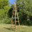 Selections Wooden Garden Obelisk (1.9m) 3