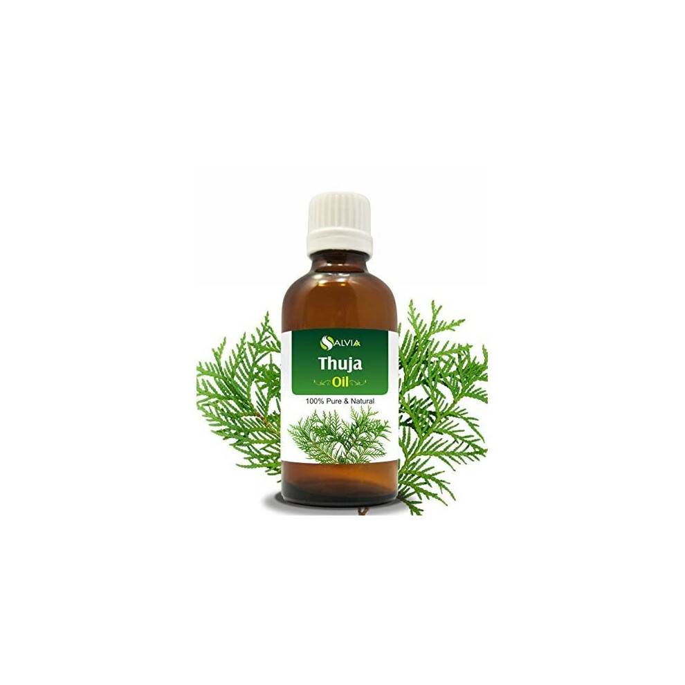 Thuja Oil (Thuja Orientali) Essential Oil 100% Pure & Natural - Undiluted Uncut Cold Pressed Aromatherapy Premium Oil - Therapeutic Grade - 15 ML