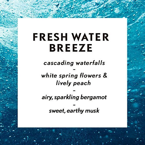 Air Wick Air Wick Essential Oils Diffuser Mist Refill, Fresh Water Breeze, 1st 2