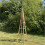 Selections Wooden Garden Obelisk (1.5m) 3