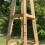 Selections Wooden Garden Obelisk (1.5m) 6