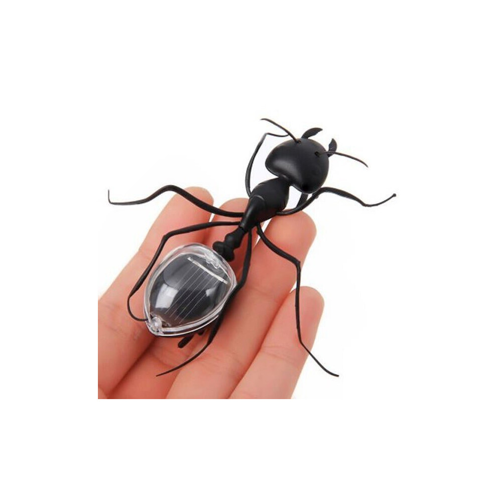 Educational Solar powered Ant Energy-saving Model Toy Children Teaching Fun Insect Toy Gift