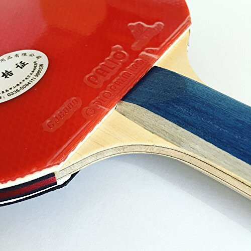 Palio Master 2.0 Table Tennis Bat & Case - ITTF Approved - Flared - Intermediate Ping Pong, Racket, Paddle 1