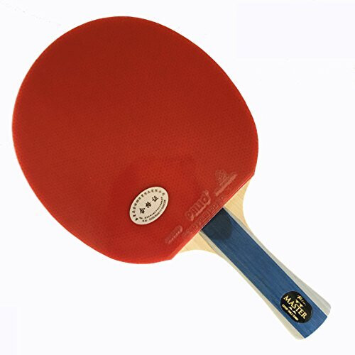 Palio Master 2.0 Table Tennis Bat & Case - ITTF Approved - Flared - Intermediate Ping Pong, Racket, Paddle 2