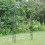Selections Tivoli Metal Decorative Garden Arch 3