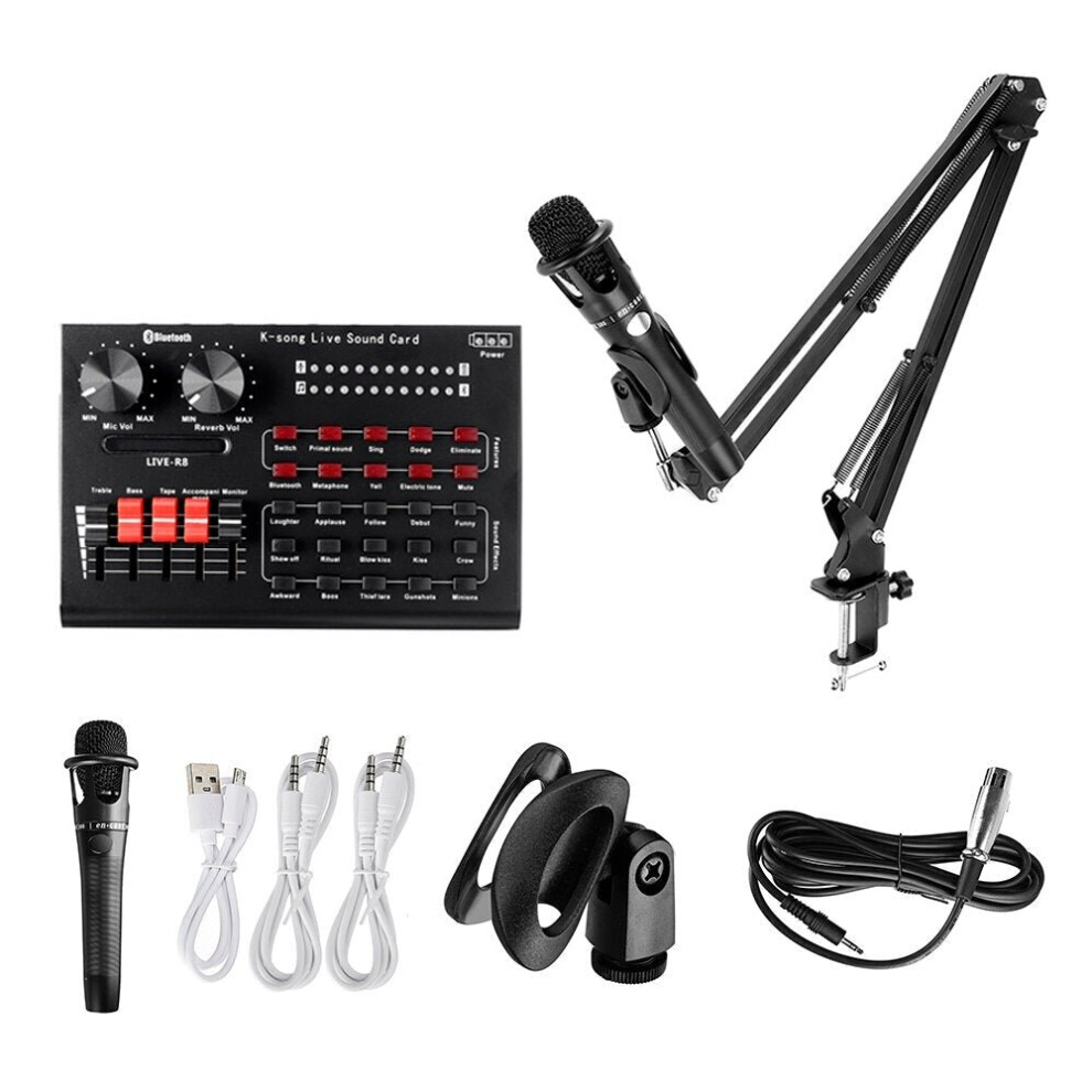 (B) Sound Card Set BM800 Microphone Recording Microphone for Sing Song Artifact