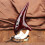 12 Hole Alto C Tone Smoldering Professional Ocarina 5