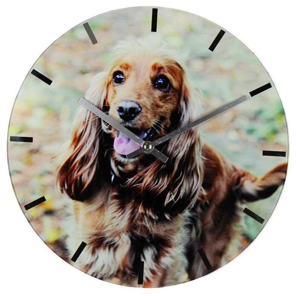 Widdop And Co. Best Of Breed - 30Cm Wall Clock - Springer Spaniel Multicoloured