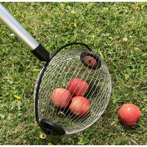 Selections Telescopic Apple Collector with Bucket Clip 2