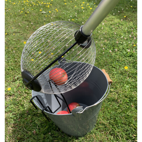 Selections Telescopic Apple Collector with Bucket Clip 1
