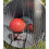 Selections Telescopic Apple Collector with Bucket Clip 5