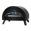 Omica Gas Fired Pizza Oven 2