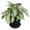 Gro Pro NX Level Pot Elevator - 13 in (50/Cs) (725675) 3