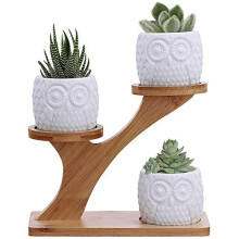 3pcs Owl vase suculente cu farfurie de bambus de 3 niveluri suport pentru suport - alb -decorativ de flori ceramice moderne cu drenaj - birou de