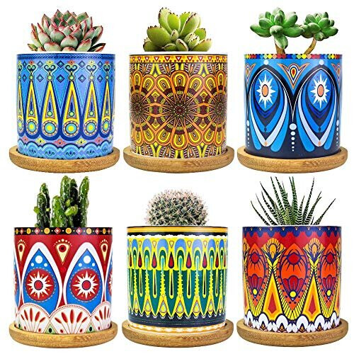 Maceta Succulenta Mandala con Drenaje y Coaster de Bambú, 6 Macetas Pequeñas