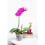 rePotme Vaso de Orquídea - Vaso de Orquídea Transparente de 6 polegadas - Pacote de 3 4