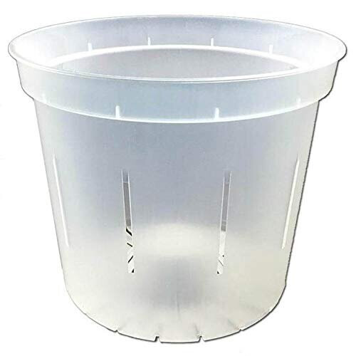 rePotme Vaso de Orquídea - Vaso de Orquídea Transparente de 6 polegadas - Pacote de 3