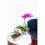 rePotme Vaso de Orquídea - Vaso de Orquídea Transparente de 6 polegadas - Pacote de 3 2