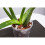 rePotme Vaso de Orquídea - Vaso de Orquídea Transparente de 6 polegadas - Pacote de 3 7