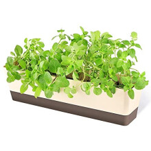 Greaner Windowsill Herb Planter Box, 1 Pack 16 x3.8 Inch Indoor Rectangle Succulent Cactus Window Box with Saucer, Modern Plastic Plant Pot for W