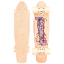 (Postcard Coastal) Complete 22inch OG Plastic Skateboard