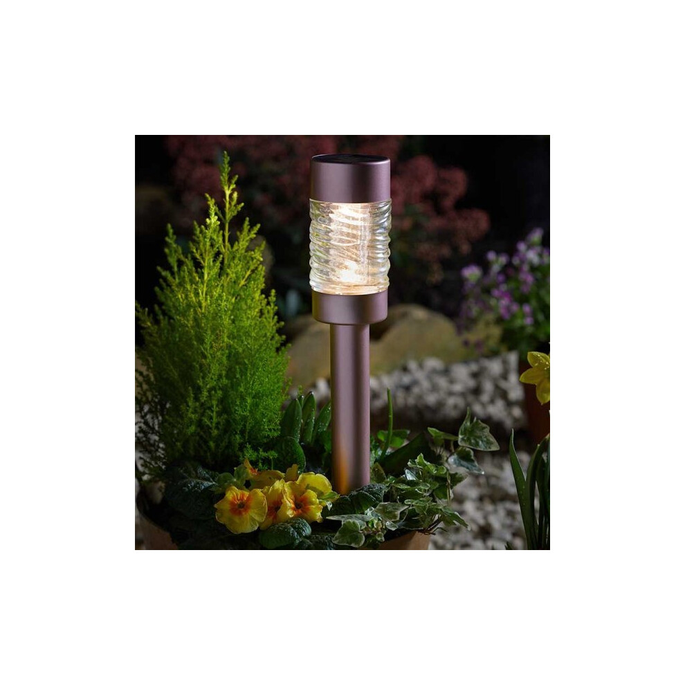 Smart Garden Martini 3L Stake Rose Warm Light/Gold/White