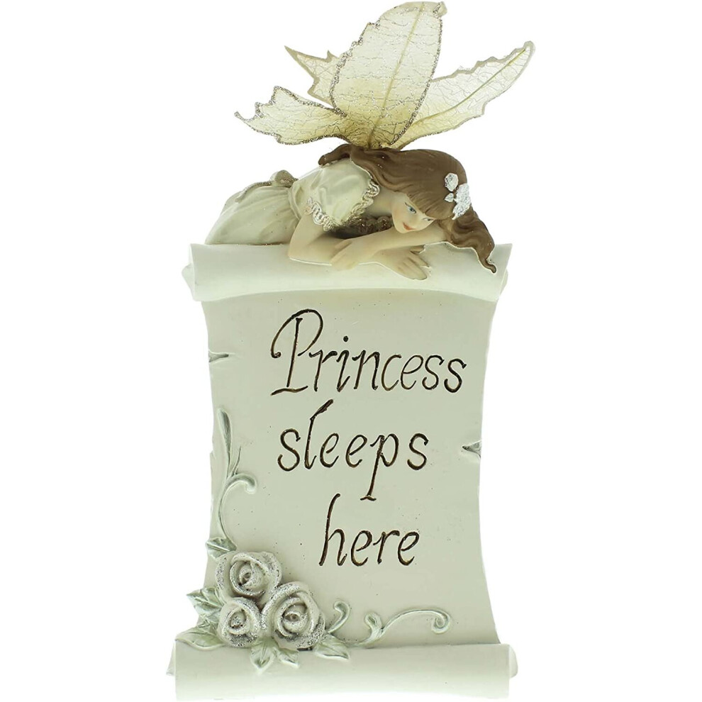 Fairy Wishes Collection - Princess Sleeps Here Wall Plaque - 58212